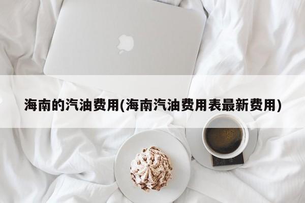 海南的汽油费用(海南汽油费用表最新费用)
