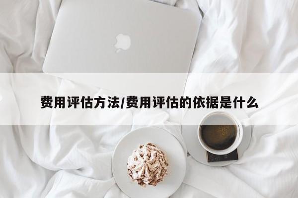 费用评估方法/费用评估的依据是什么