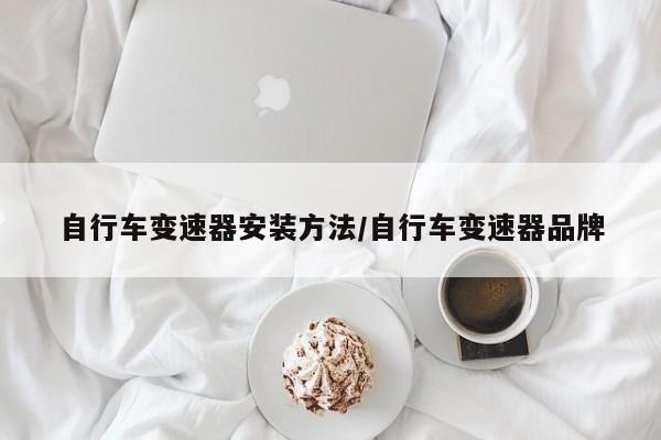 自行车变速器安装方法/自行车变速器品牌